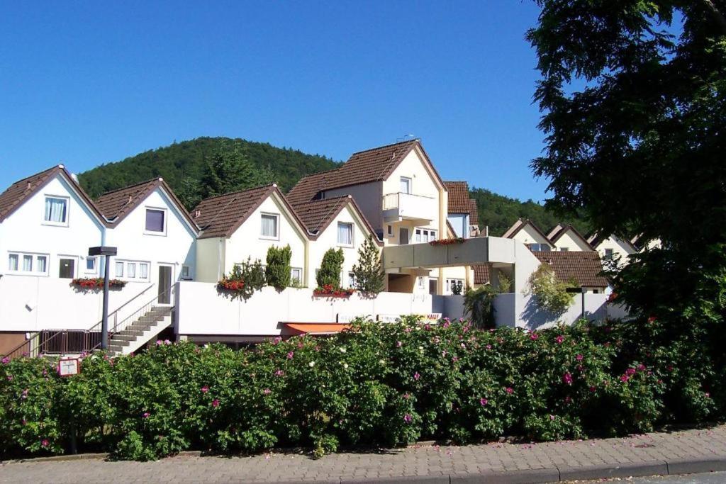 Gemutliche 93M2Fewo Mit 2 Schlafzimmern Und Seitlichem Seeblick Vom Balkon Scheid  Exterior photo